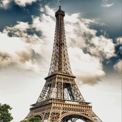 20768 PUZZLE 1000 ELFFEL TOWER PARİS