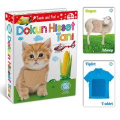 Dokun Hisset Duyu Kartları