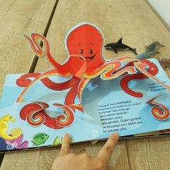 Okyanus Yolculuğu Pop-up Kitap