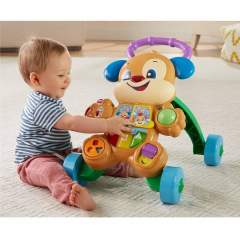 Fisher Price Eğitici Yürüteç