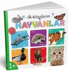 İlk Kitaplarım Serisi Eğitici 6Lı Set