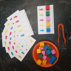 Montessori 1/1/25 Aktarma ve Renk Ayrıştırma Etkinliği Seti