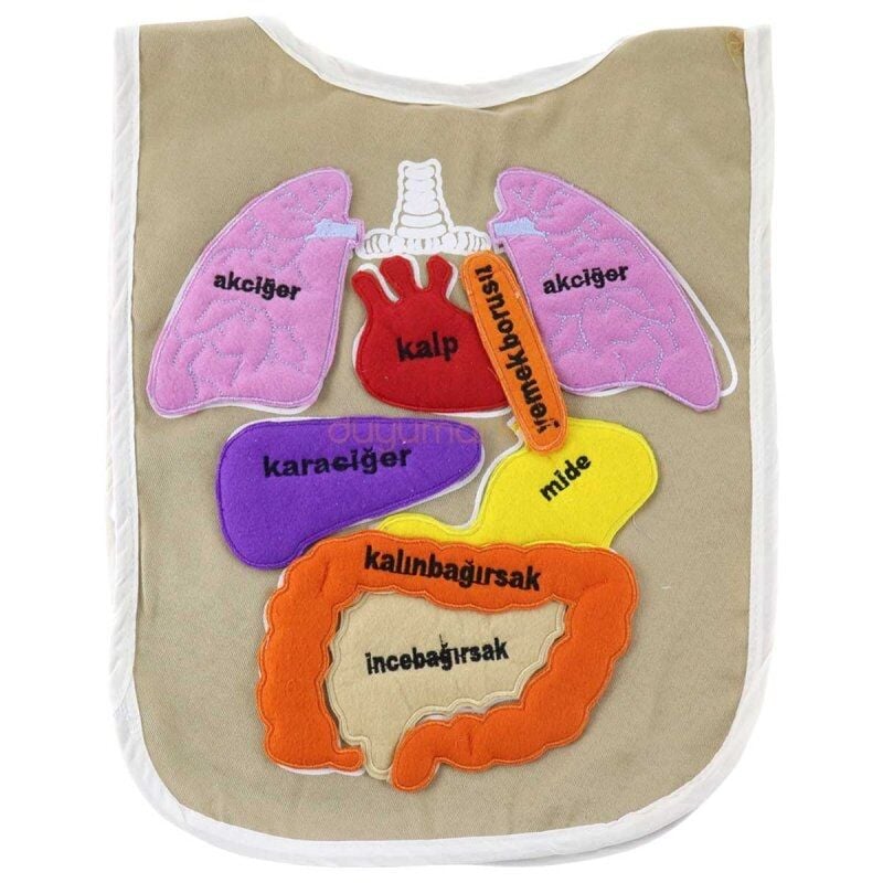 Cırtlı Organ Önlüğü