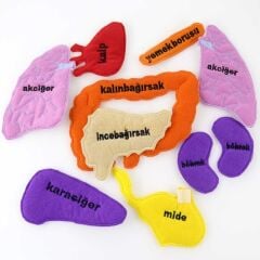 Cırtlı Organ Önlüğü