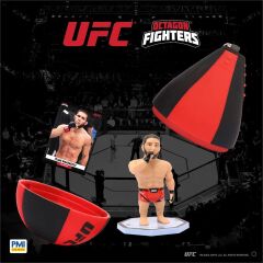 PMI/UFC2009